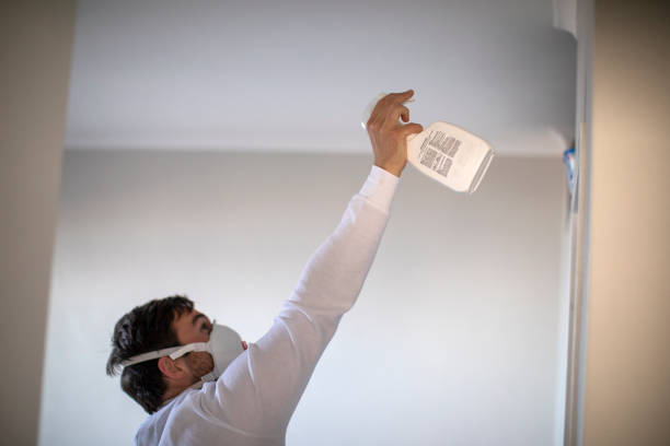 Best Mold Removal Near Me  in Sage, CA