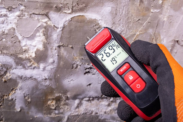Best Mold Testing and Removal  in Sage, CA