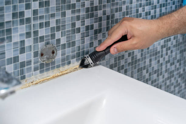Best Fast Mold Removal  in Sage, CA